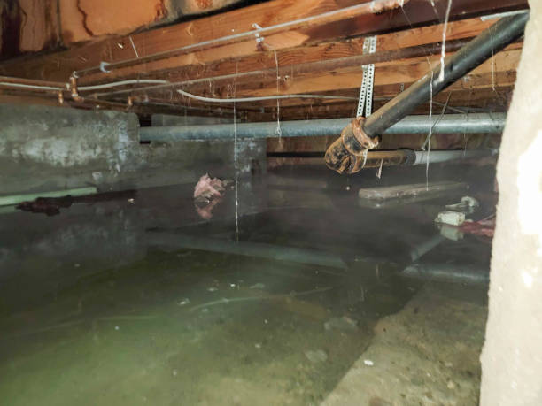 Best Sewage cleanup and water damage restoration  in Catoosa, OK