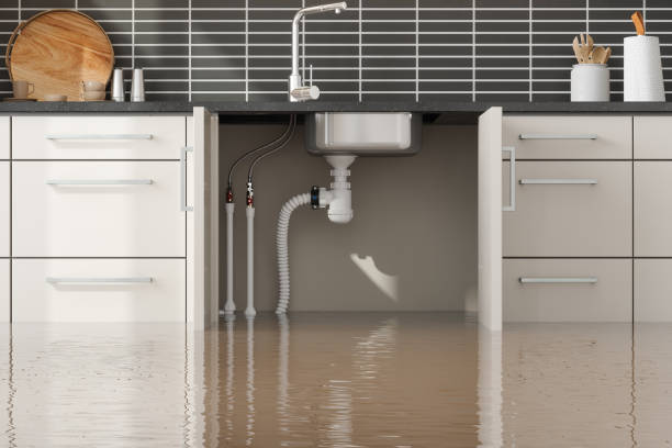Best Water damage restoration process  in Catoosa, OK